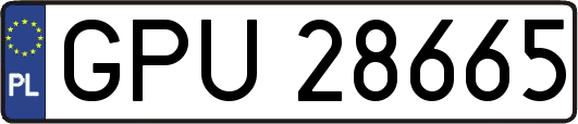 GPU28665