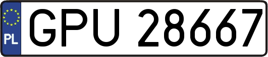 GPU28667