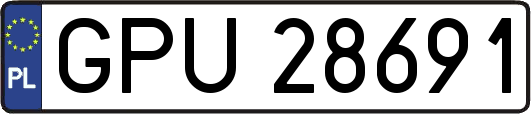 GPU28691
