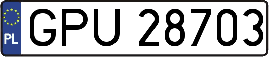 GPU28703