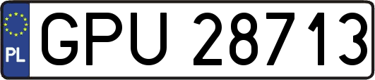 GPU28713