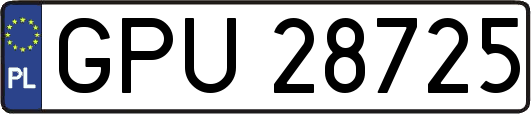GPU28725