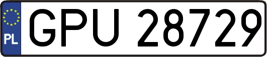 GPU28729