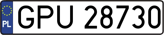 GPU28730
