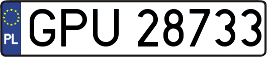 GPU28733