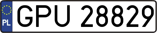 GPU28829