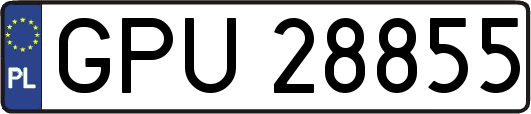 GPU28855