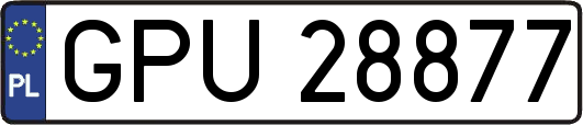 GPU28877