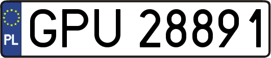 GPU28891