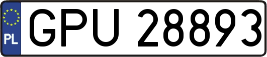 GPU28893