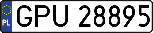 GPU28895