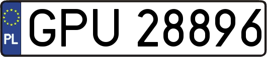 GPU28896