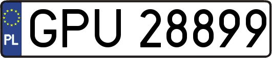 GPU28899