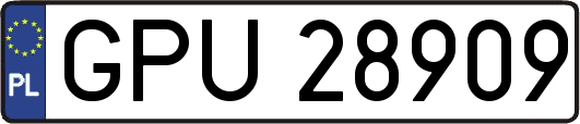 GPU28909