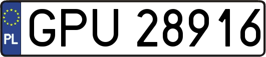 GPU28916