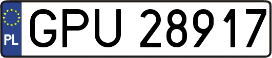GPU28917
