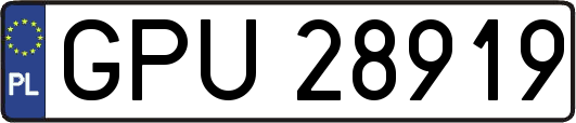 GPU28919