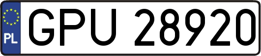GPU28920