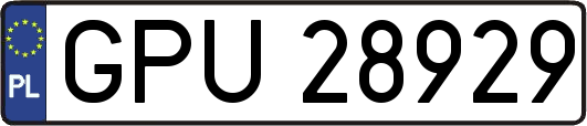 GPU28929