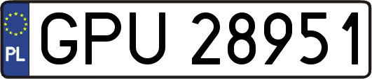 GPU28951