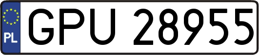 GPU28955