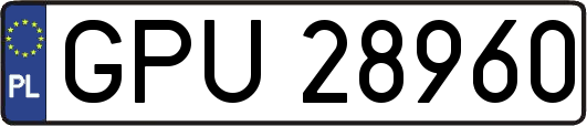 GPU28960