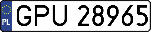 GPU28965