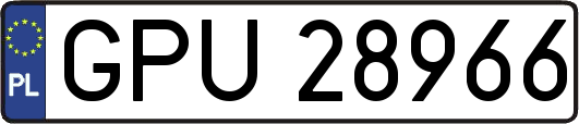 GPU28966