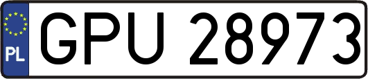 GPU28973