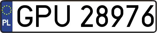 GPU28976
