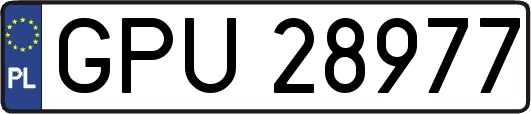 GPU28977