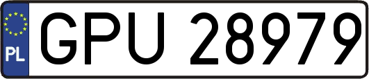 GPU28979