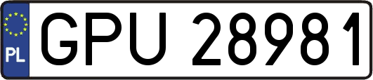 GPU28981