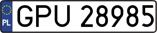 GPU28985