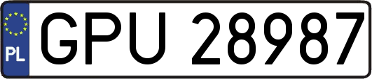 GPU28987