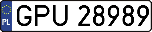 GPU28989
