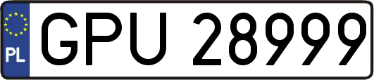 GPU28999