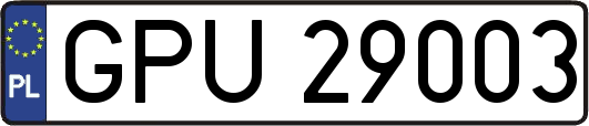 GPU29003
