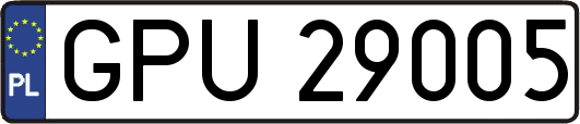 GPU29005