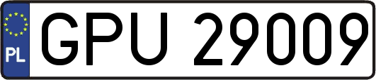 GPU29009