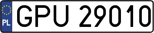 GPU29010