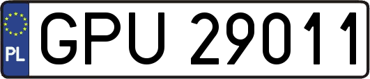 GPU29011
