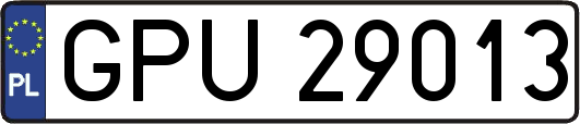 GPU29013
