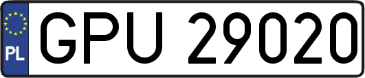 GPU29020