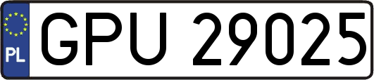 GPU29025
