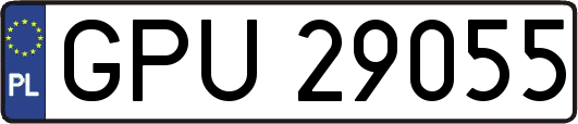 GPU29055