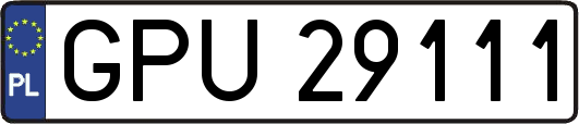 GPU29111