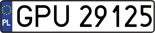 GPU29125