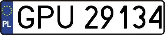 GPU29134