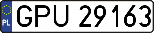 GPU29163